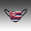 HittershouseLA FACE MASKS Hawaii Flag