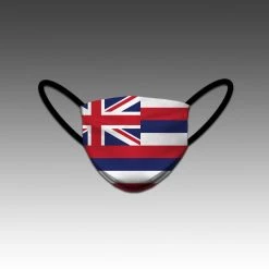 HITTERS HOUSE LA 12 HittershouseLA FACE MASKS Hawaii Flag