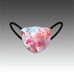 HittershouseLA Free Ebooks Blossoms