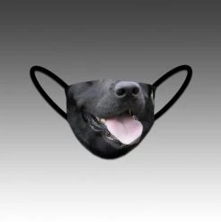 HittershouseLA Black Lab FACE MASKS