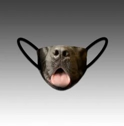 HittershouseLA VIBE Black Labrador