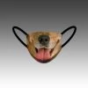 HittershouseLA Golden Retriever FACE MASKS 1 HittershouseLA Golden Retriever FACE MASKS