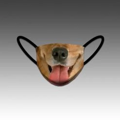 HittershouseLA Golden Retriever FACE MASKS