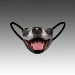 HittershouseLA Dog Mix